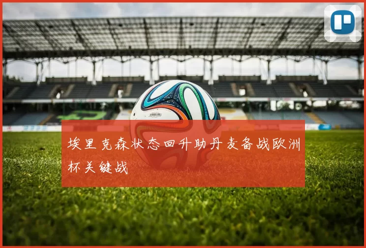埃里克森状态回升助丹麦备战欧洲杯关键战