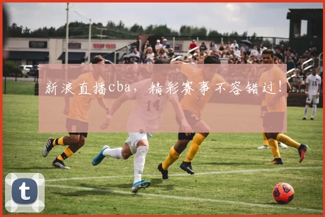 新浪直播cba，精彩赛事不容错过！