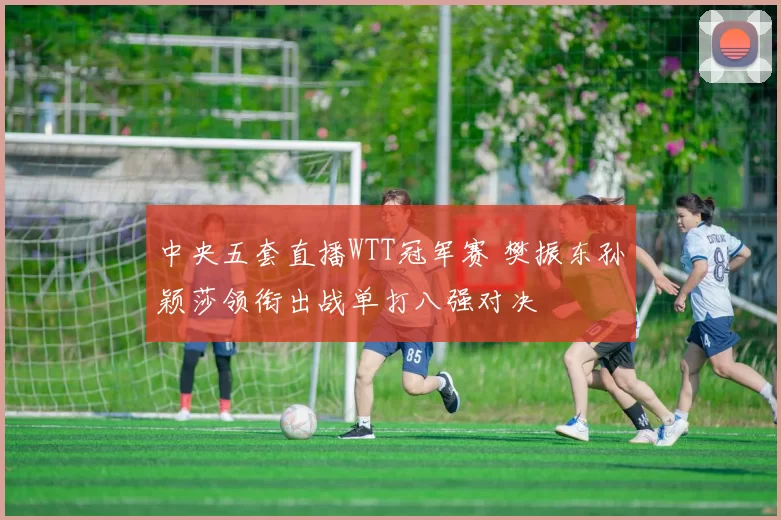 中央五套直播WTT冠军赛 樊振东孙颖莎领衔出战单打八强对决