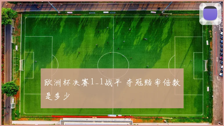 欧洲杯决赛1_1战平 夺冠赔率倍数是多少