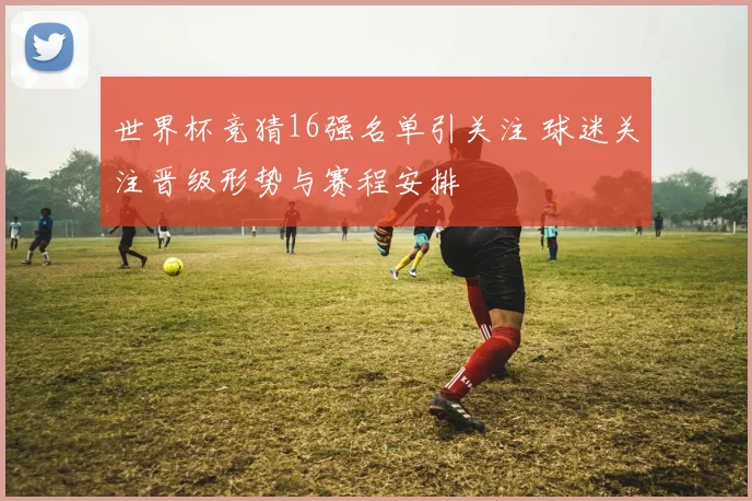 世界杯竞猜16强名单引关注 球迷关注晋级形势与赛程安排